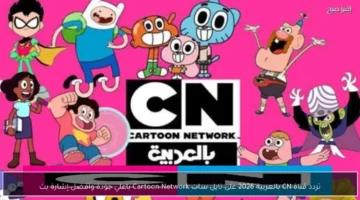 إشارة قوية.. تردد قناة كرتون نتورك CN بالعربية الجديد على نايل سات 2026